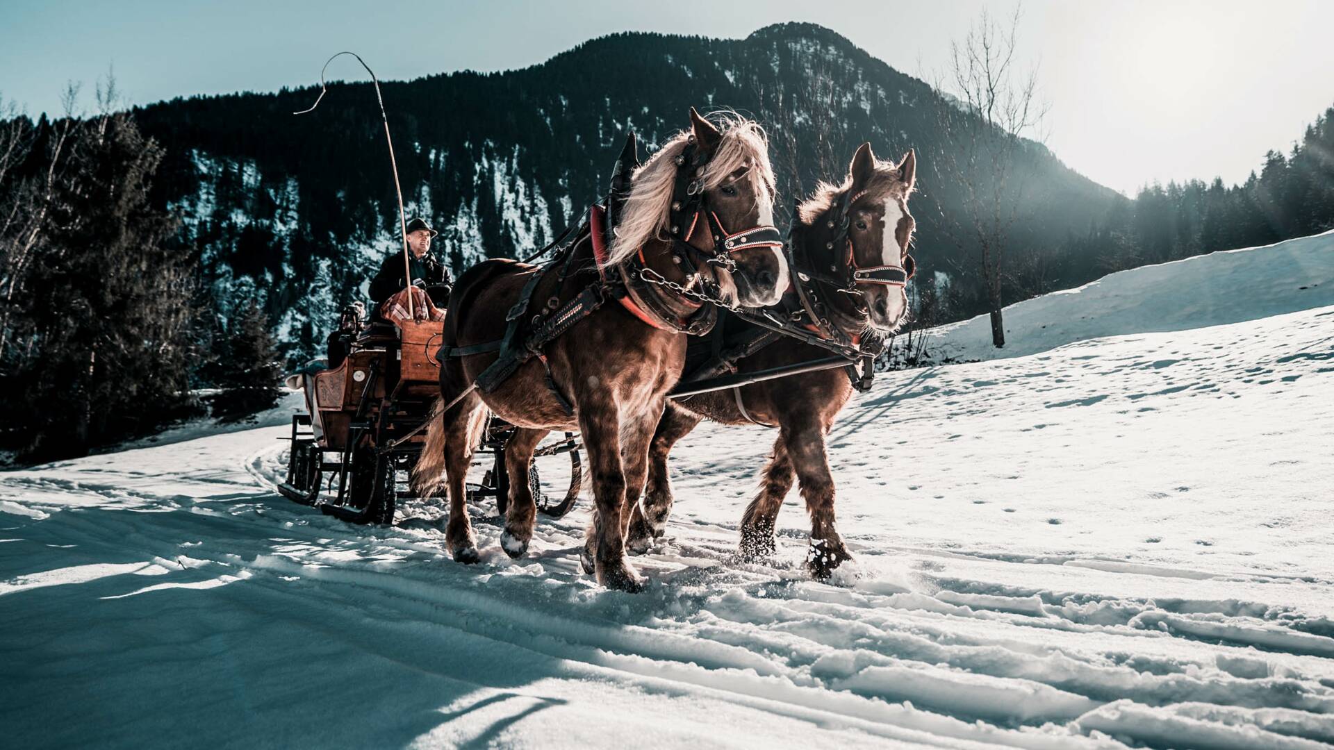 Pferdekutsche © Zillertal Tourismus
